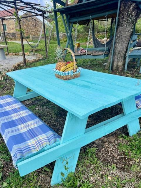 مبيت وإفطار Zion Jardim مونسانتو المظهر الخارجي الصورة