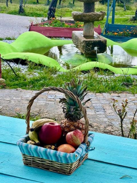 مبيت وإفطار Zion Jardim مونسانتو المظهر الخارجي الصورة