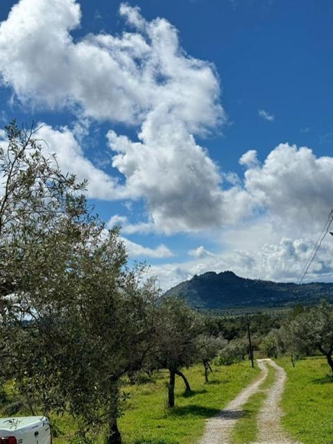 مبيت وإفطار Zion Jardim مونسانتو المظهر الخارجي الصورة