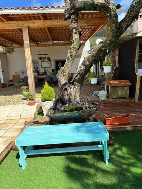 مبيت وإفطار Zion Jardim مونسانتو المظهر الخارجي الصورة